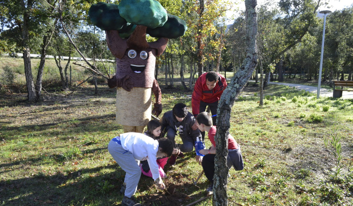 Plantação de sobreiros na Lousã, no Dia da Floresta Autóctone pelo ClimAgir da CIM Região de Coimbra